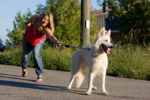 veterinaire de garde buzet