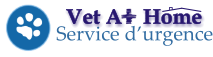 Service d’urgence Vet A    Home